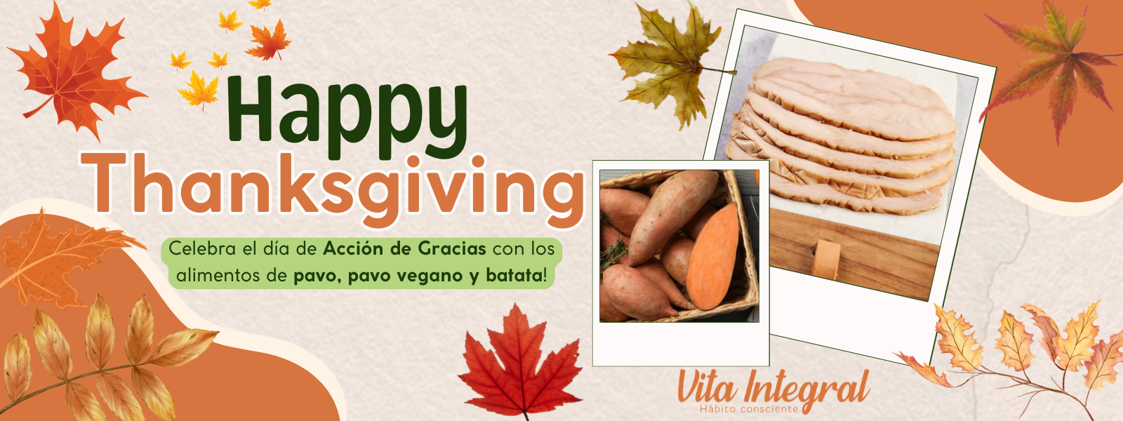Thanksgiving Accion de Gracias (1600 x 600 px)