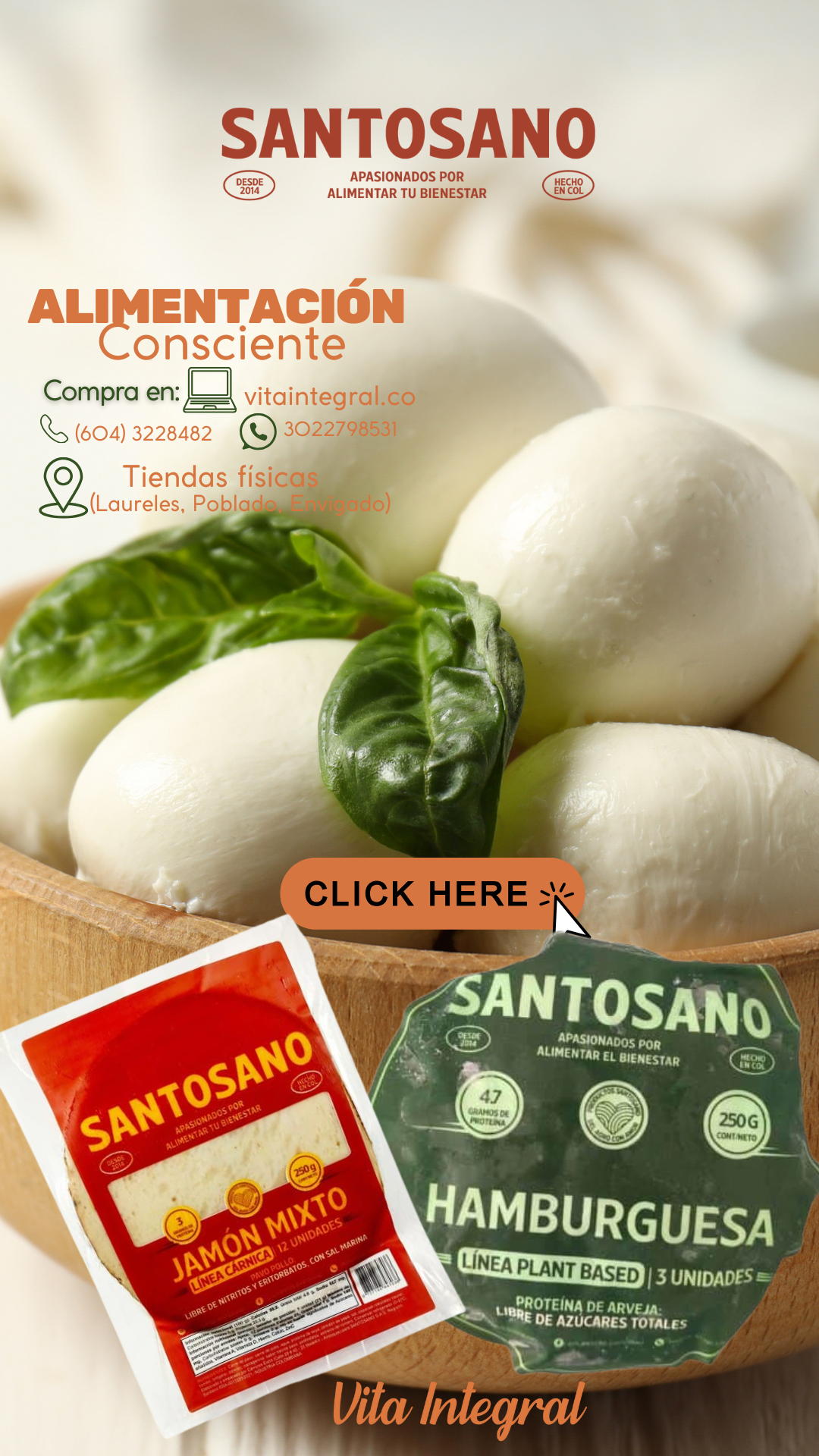 Santo S. Celular