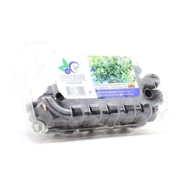 10636-Arandanos-Azules-x125Gr-Blueberries-De-Oriente-Frente.jpg