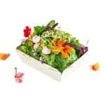 Mezclum Orgánico El Canto De La Huerta