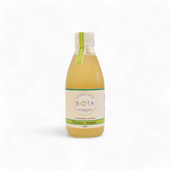 12734-Kombucha-Manzana-Y-Jengibre-x280Ml-Biota-Frente.jpg.png