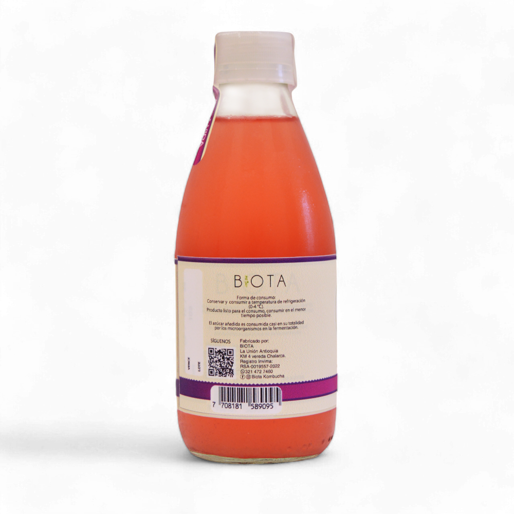 Kombucha Fresa Y Limón x280Ml Biota Vita Integral