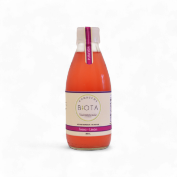 12735-Kombucha-Fresa-Y-Limon-x280Ml-Biota-Frente.jpg.png