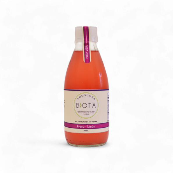 12735-Kombucha-Fresa-Y-Limon-x280Ml-Biota-Frente.jpg.png