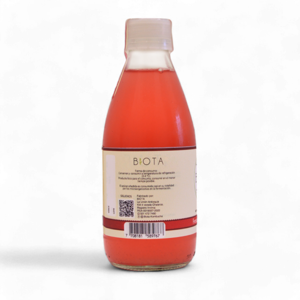 12736-Kombucha-Fresa-Y-Flor-De-Jamaica-x280Ml-Biota-Atras.jpg.png