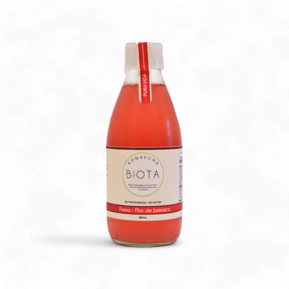 12736-Kombucha-Fresa-Y-Flor-De-Jamaica-x280Ml-Biota-Frente.jpg.png