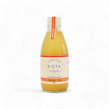 12737-Kombucha-Durazno-Y-Anis-x280Ml-Biota-Frente.jpg.png