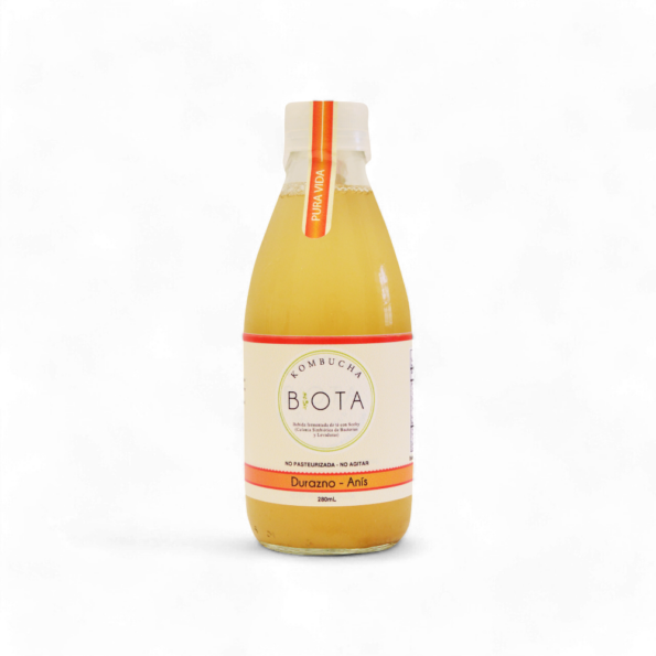 12737-Kombucha-Durazno-Y-Anis-x280Ml-Biota-Frente.jpg.png