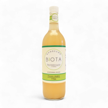 12738-Kombucha-Manzana-Y-Jengibre-x770Ml-Biota-Frente.jpg.png