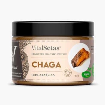 Chaga x60gr Vitalsetas