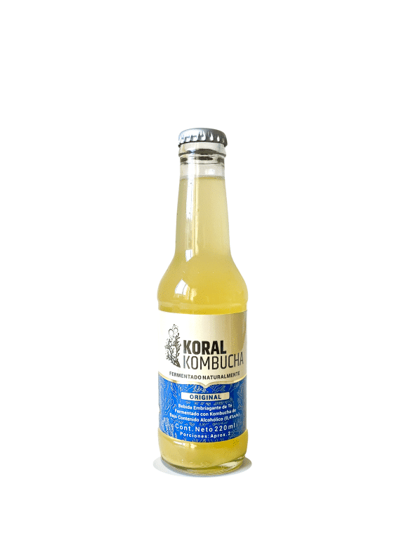 Kombucha Original 220ml Koral