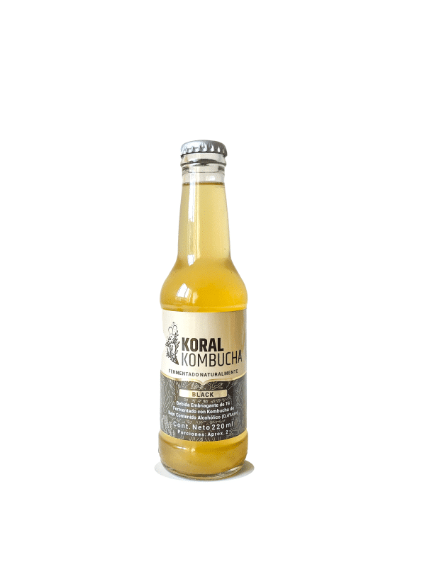 Kombucha Black 220ml Koral