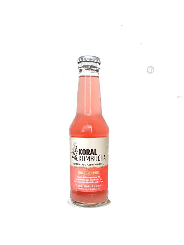 Kombucha Tropical 220ml Koral