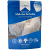 Melena De Leon x60Gr Doy Pack Vitalsetas