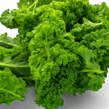 12497-Kale-Rizado-x-200-Gr-El-Canto-De-La-Huerta